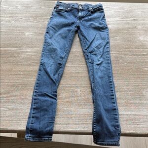 Hudson Shine Midrise Skinny Leg Jeans 27R